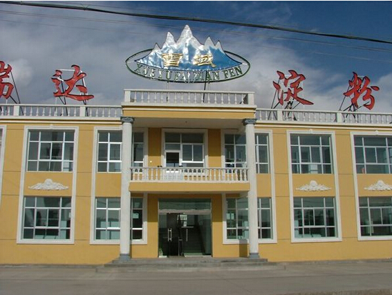 Gansu ruida potato co. LTD.