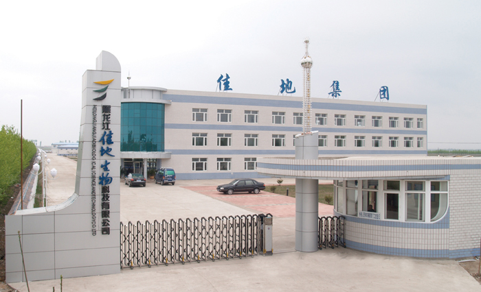 Heilongjiang best group